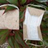 Portamask Germinable - Imagen 6