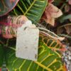 Etiqueta Flor Germinable Lifepack - Imagen 6